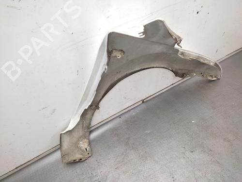 Left front fenders FORD FOCUS II (DA_, HCP, DP) 1.6 TDCi | BP24497712C41 