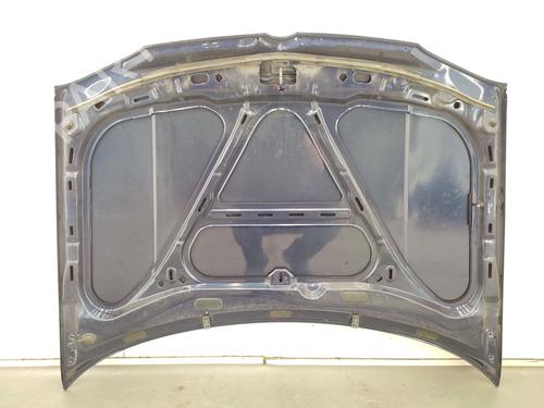 Hood VW GOLF IV (1J1) 1.6 16V | BP29026987C1 