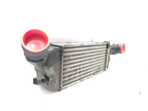 Intercooler PEUGEOT 407 (6D_)  | BP21155595M30 