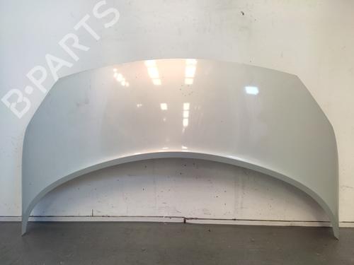 Panser RENAULT SCÉNIC II (JM0/1_) 1.6 16V (JM1R) (112 hp) 26446114