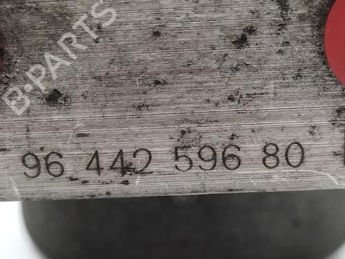 ABS pump PEUGEOT 406 (8B)  | BP21156503M43 