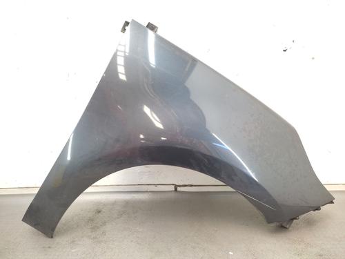 Used Right front fenders RENAULT GRAND SCÉNIC III (JZ0/1_) 1.9 dCi (JZ0J, JZ0N, JZ1K, JZ1S) (131 hp) 30297772