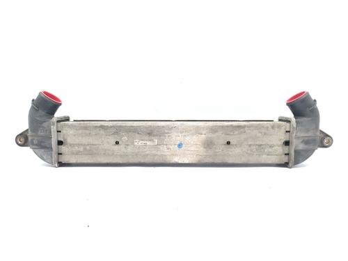 Intercooler FIAT DOBLO MPV (119_, 223_) [2001-2025]  21160851