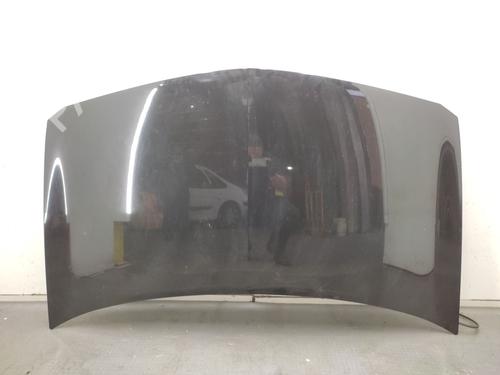 Used Hood RENAULT MEGANE II (BM0/1_, CM0/1_) 1.9 dCi (BM0G, CM0G) (120 hp) 29133089