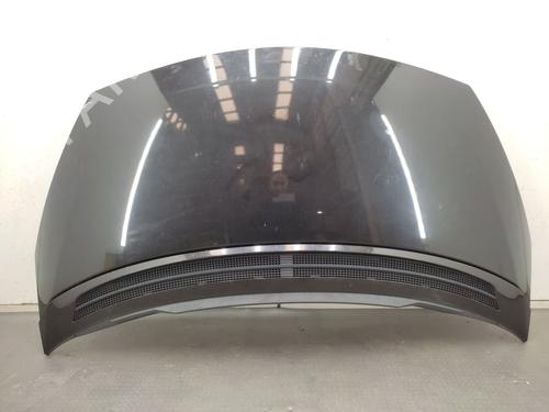 Capot RENAULT ESPACE IV (JK0/1_) 2.0 dCi (JK01, JK02, JK1J, JK1K, JK1H) (150 hp) 21596768