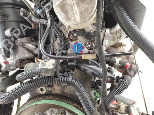Engine CITROËN BERLINGO / BERLINGO FIRST MPV (MF_, GJK_, GFK_) 1.9 D (MFWJZ) | BP31644326M1 