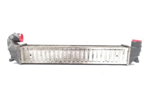 Used Intercooler SEAT ALHAMBRA (7V8, 7V9) 1.9 TDI (115 hp) 24109744