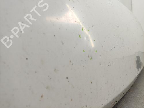 Hood FIAT DUCATO Van (250_)  | BP21161692C1 