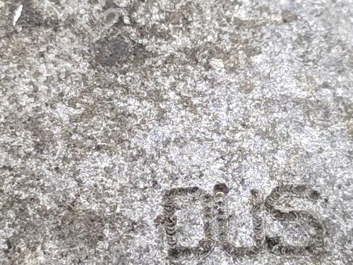 Gearbox SEAT LEON (1M1) 1.9 SDI | BP31581148M3