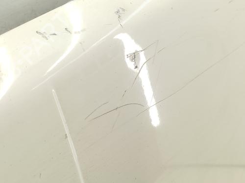 Hood RENAULT 9 (L42_) 1.4 | BP29355136C1 