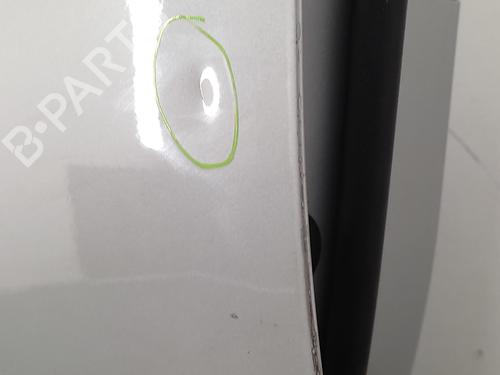Left front door BMW 3 (E90) 320 d | BP21155522C2 