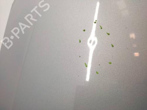 Hood FORD FOCUS C-MAX (DM2) 1.6 TDCi | BP21158550C1 