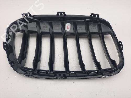 Grille BMW X1 (F48) sDrive 18 i | BP24682735C40 