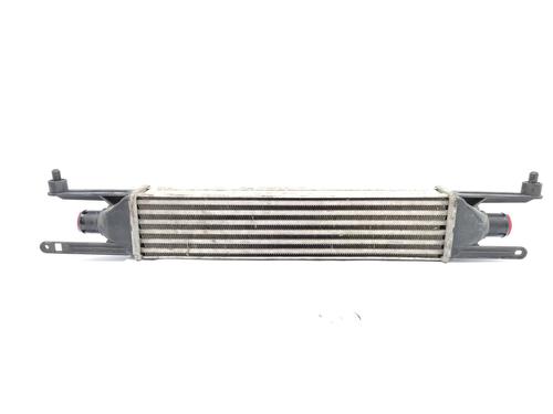 Intercooler FIAT GRANDE PUNTO (199_) 1.3 D Multijet (199.AXD11, 199.AXD1A, 199.AXD1B,... (90 hp) 24297945