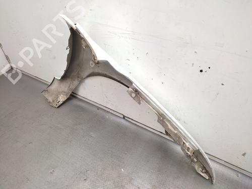 Left front fenders FORD FOCUS II (DA_, HCP, DP) 1.6 TDCi | BP24497712C41 