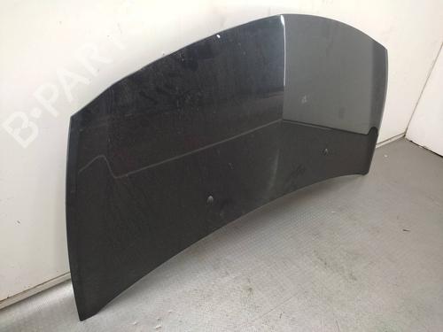 Hood RENAULT CLIO III (BR0/1, CR0/1)  | BP21161364C1 