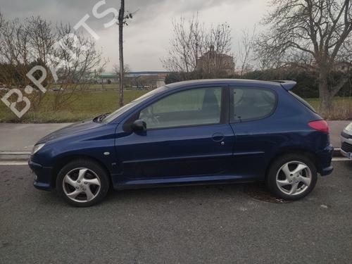 Egr PEUGEOT 206 Hatchback (2A/C)  | BP21805716M69 