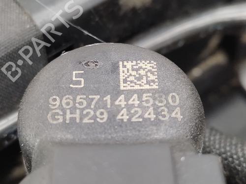 Engine PEUGEOT 807 (EB_) 2.0 HDI | BP30747964M1 