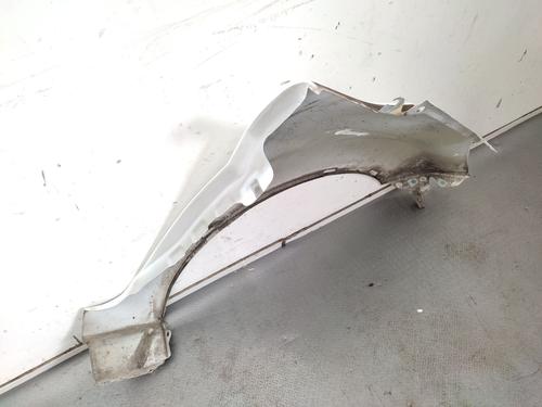 Left front fenders FORD FIESTA VI (CB1, CCN) 1.5 TDCi | BP25868511C41 