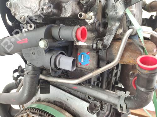 Engine SEAT CORDOBA (6L2) 1.9 TDI | BP21162055M1 