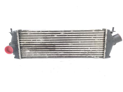 Intercooler NISSAN PRIMASTAR Van (X83) [2002-2025]  21157169