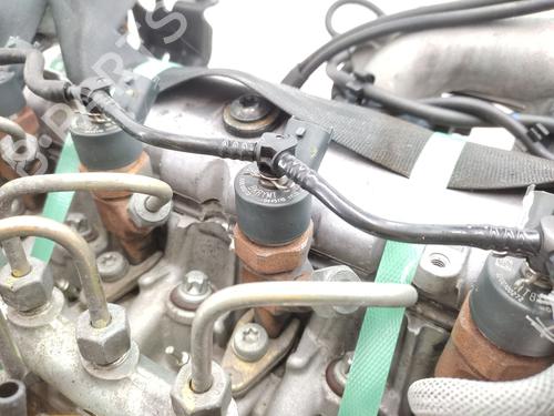 Engine RENAULT MEGANE II (BM0/1_, CM0/1_) 1.9 dCi (BM0G, CM0G) | BP29372675M1 