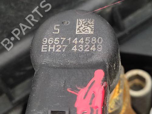 Engine FORD FOCUS C-MAX (DM2)  | BP21157468M1  - Image 12