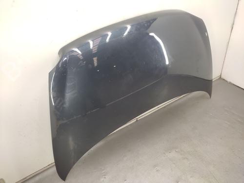 Hood FIAT MULTIPLA (186_) 1.9 JTD 115 | BP22734784C1 
