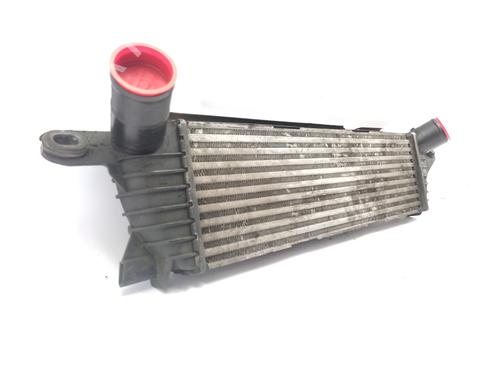 Intercooler RENAULT KANGOO (KC0/1_)  | BP21156328M30 