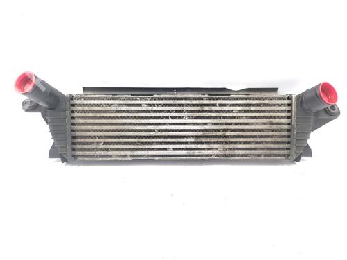Used Intercooler RENAULT KANGOO (KC0/1_) [1997-2025]  21156328