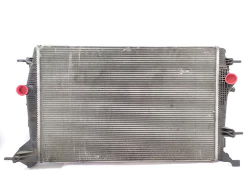 Used Water radiator RENAULT GRAND SCÉNIC III (JZ0/1_) 1.9 dCi (JZ0J, JZ0N, JZ1K, JZ1S) (131 hp) 28480630