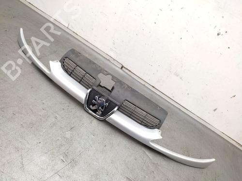 Used Front slam panel PEUGEOT 206 Hatchback (2A/C) 1.4 i (75 hp) 30298598