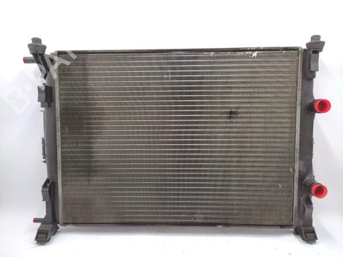 Used Water radiator RENAULT MEGANE II (BM0/1_, CM0/1_) 1.9 dCi (BM0G, CM0G) (120 hp) 28471541