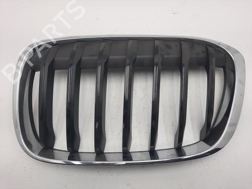 Used Grille BMW X1 (F48) sDrive 18 i (136 hp) 24682735