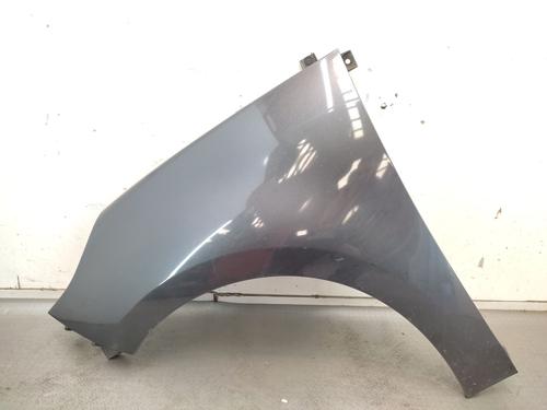 Used Left front fenders RENAULT GRAND SCÉNIC III (JZ0/1_) 1.9 dCi (JZ0J, JZ0N, JZ1K, JZ1S) (131 hp) 30297773