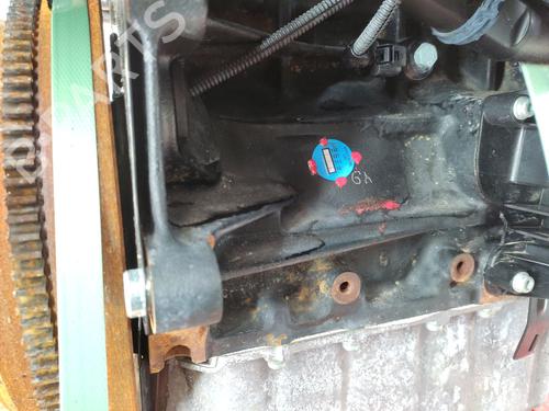 Engine SEAT LEON (1M1) 1.6 16 V | BP31854876M1 