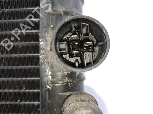 Water radiator VOLVO 460 (464)  | BP21155868M31 