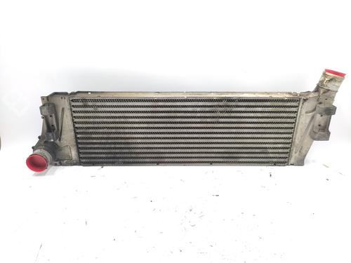 Used Intercooler RENAULT MEGANE II (BM0/1_, CM0/1_) [2001-2012]  21154592
