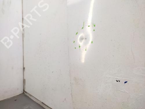 Right front door FIAT DUCATO Van (250_) | BP32412087C3