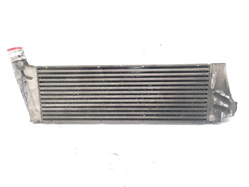 Intercooler RENAULT MEGANE II Saloon (LM0/1_) 1.9 dCi (LM0G, LM1G, LM2C) (120 hp) 21154572