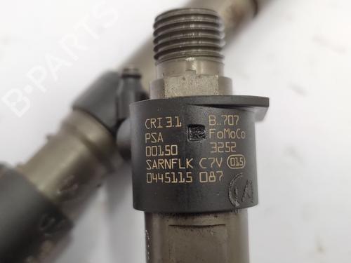 Injector CITROËN C5 III (RD_) 2.2 HDi 200 (RD4HLA) | BP29626139M100 
