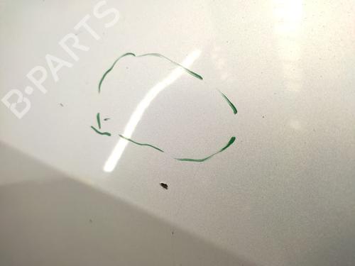 Left front door OPEL ZAFIRA A MPV (T98) 2.0 DTI 16V (F75) | BP27505435C2 