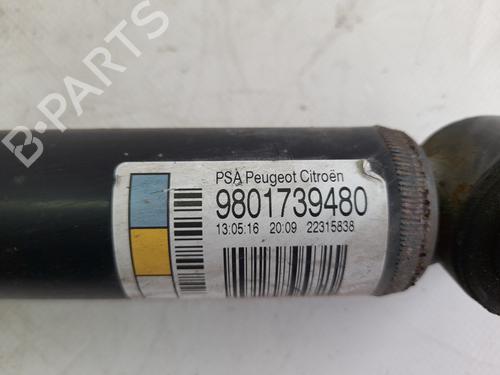 Left rear shock absorber CITROËN C3 II (SC_) | BP5014055M18