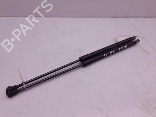 Tailgate lift support NISSAN QASHQAI / QASHQAI +2 I (J10, NJ10, JJ10E) 2.0 | BP6014006C138 