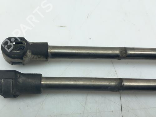 Tailgate lift support VW PHAETON (3D1, 3D2, 3D3, 3D4, 3D6, 3D7, 3D8, 3D9) 3.0 V6 TDI 4motion | BP14379046C138 