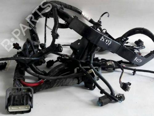 Kabelbaum für FORD FIESTA VI (CB1, CCN) 1.5 TDCi (95 hp) 14379568