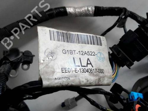 Ledningsnett FORD FIESTA VI (CB1, CCN) 1.5 TDCi | BP14379568E16