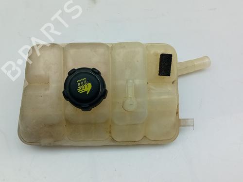 Expansion tank RENAULT TALISMAN (LP_) 1.5 dCi 110 (LPA3) 217104048R