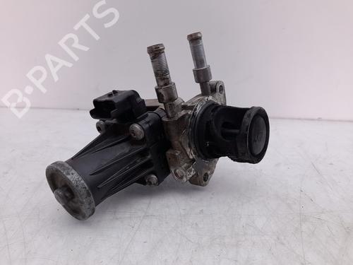 Egr CITROËN C4 III (BA_, BB_, BC_)  | BP24181959M69