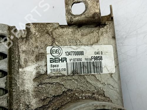 Intercooler CITROËN JUMPER I Van (244) | BP17054238M30